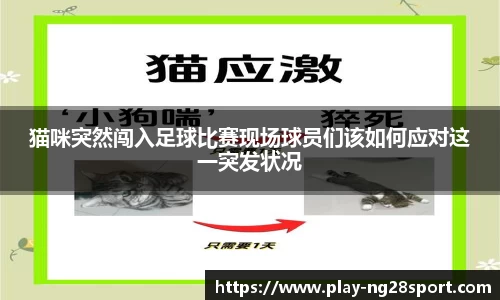南宫28