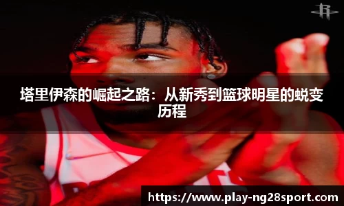 南宫28公司