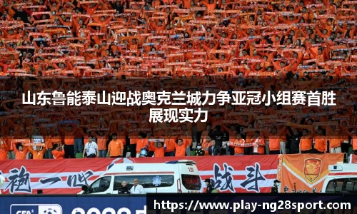 南宫28公司