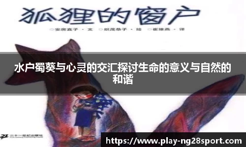 南宫28官网