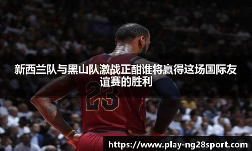 南宫28官网