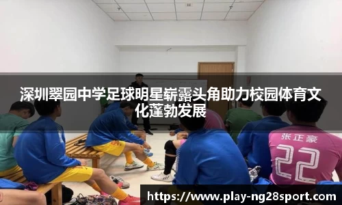 南宫28公司