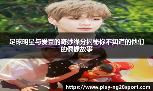 南宫28官方网站